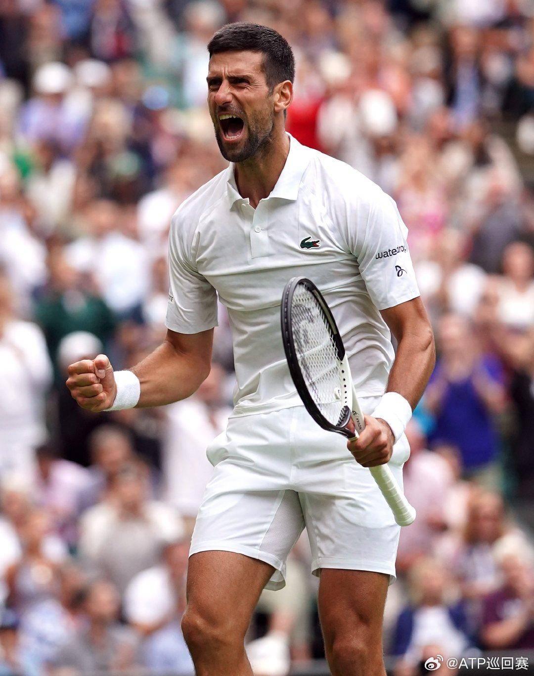 世界杯上 世界杯上