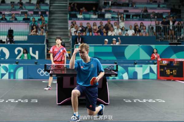 取向微紧半 取向微紧半