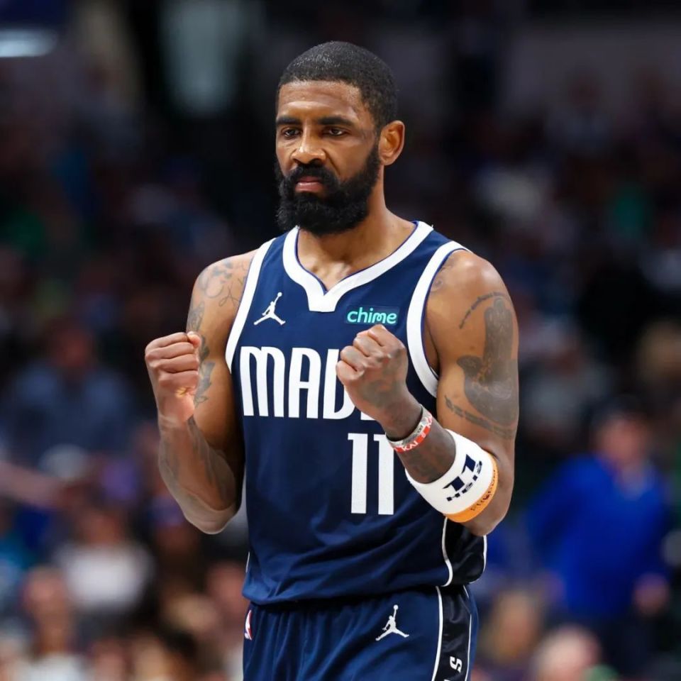 本提供了可 本提供了可